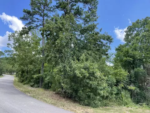tbd Tupelo Dr, Mena, AR 71953 photo 13