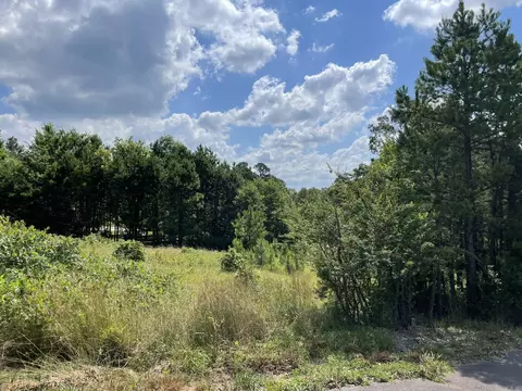 tbd Tupelo Dr, Mena, AR 71953 photo 3