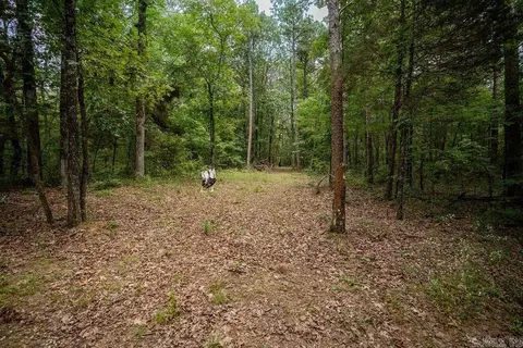 Exterior - 100 Whitetail, Ida, AR 72546 photo 12 of 13