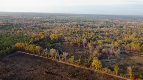 80 Acres Calhoun 199 Rd, Hampton, AR 71744 photo 13