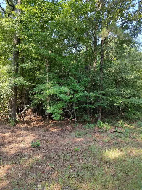 80 Acres Calhoun 199 Rd, Hampton, AR 71744 photo 4