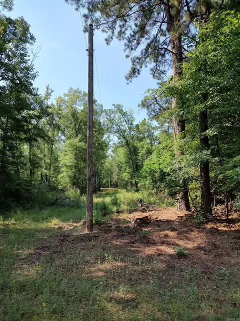 80 Acres Calhoun 199 Rd, Hampton, AR 71744 photo 6