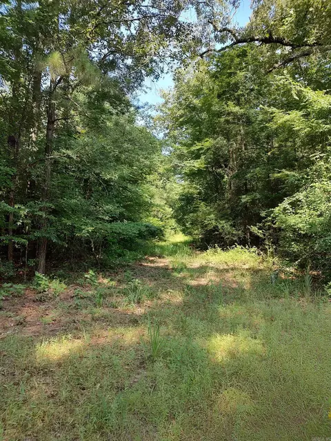 80 Acres Calhoun 199 Rd, Hampton, AR 71744 photo 3
