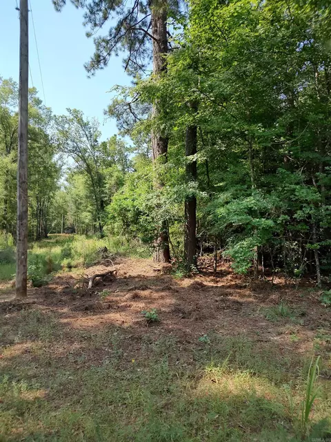 80 Acres Calhoun 199 Rd, Hampton, AR 71744 photo 8