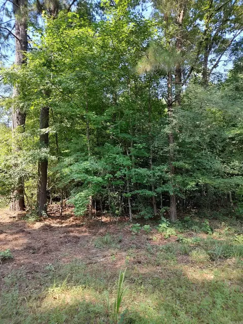 80 Acres Calhoun 199 Rd, Hampton, AR 71744 photo 7