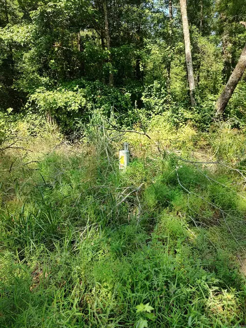 80 Acres Calhoun 199 Rd, Hampton, AR 71744 photo 2