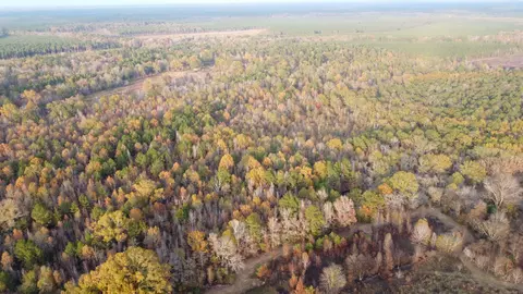 80 Acres Calhoun 199 Rd, Hampton, AR 71744 photo 11