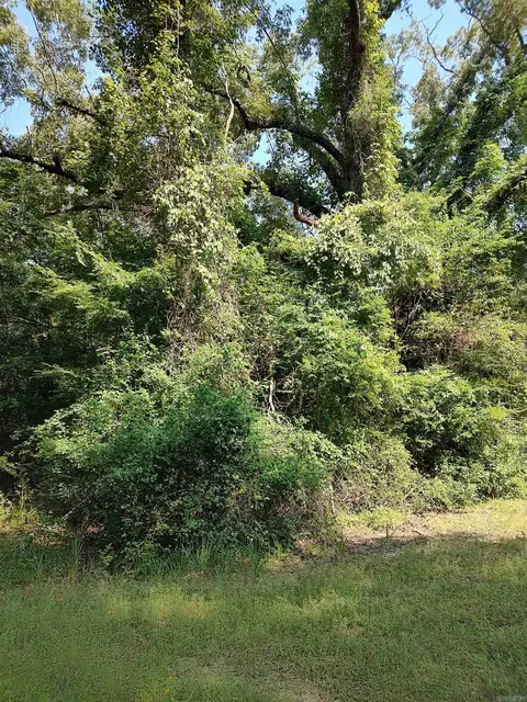 80 Acres Calhoun 199 Rd, Hampton, AR 71744 photo 5