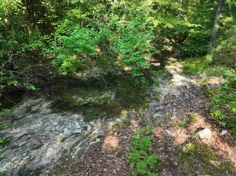 tbd Ryan Rd, Oden, AR 71961 photo 3