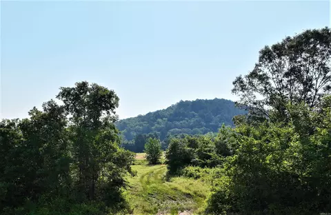 tbd Ryan Rd, Oden, AR 71961 photo 6