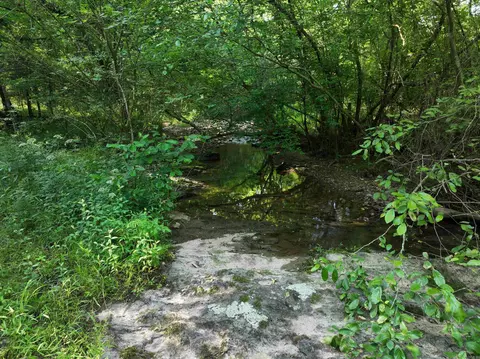 tbd Ryan Rd, Oden, AR 71961 photo 1
