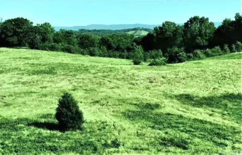 tbd Ryan Rd, Oden, AR 71961 photo 4
