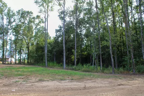 235 Saddle Brk, Austin, AR 72007 photo 16