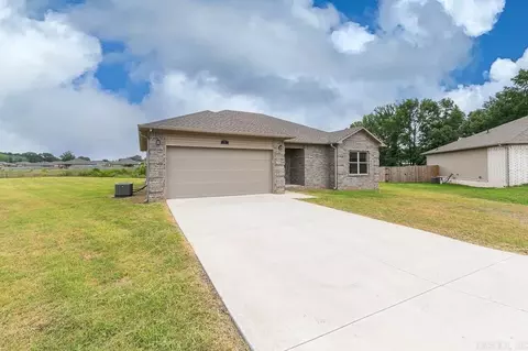 21 Lillyann Ct, Ward, AR 72176 photo 3