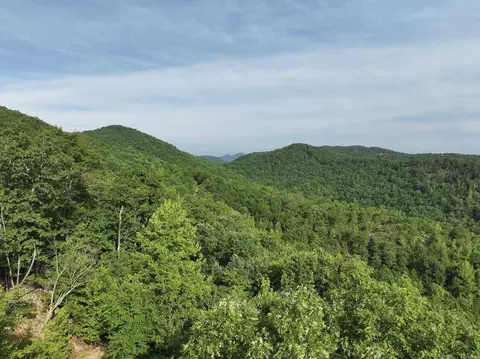 Nn Mount Laurel Loop, Glenwood, AR 71943