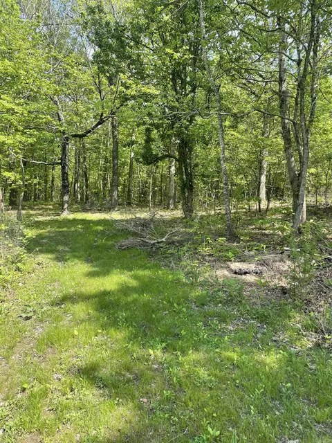 975 Big Gun Rd, Clinton, AR 72031 photo 46