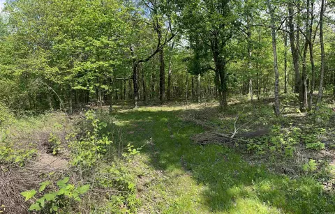 975 Big Gun Rd, Clinton, AR 72031 photo 47