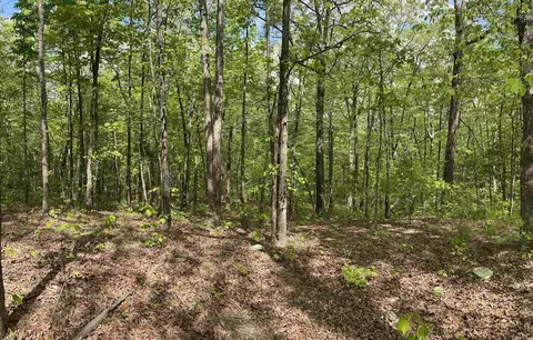 975 Big Gun Rd, Clinton, AR 72031 photo 49