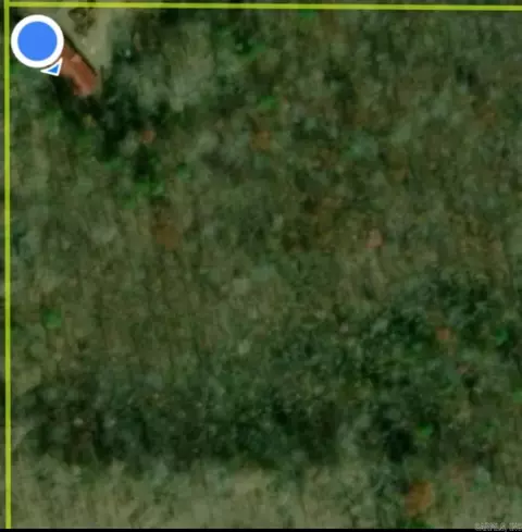 975 Big Gun Rd, Clinton, AR 72031 photo 50