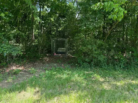 127 Landing Dr, Pangburn, AR 72121 photo 27
