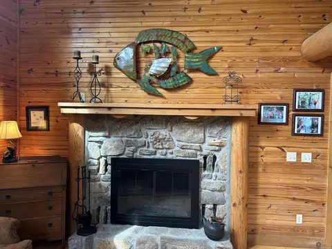 127 Landing Dr, Pangburn, AR 72121 photo 16
