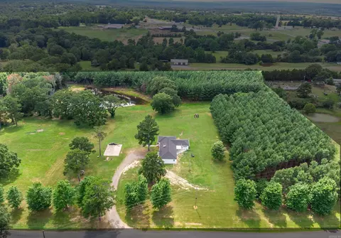 347 Camphill, Damascus, AR 72039 photo 39