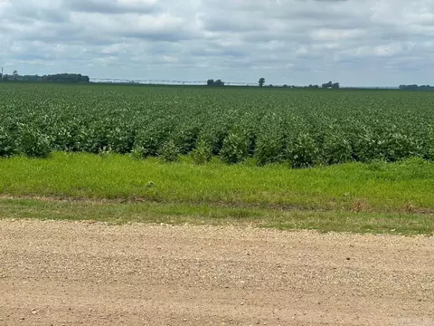 Other - 348 County Road 522, Rector, AR 72461 photo 2 of 19