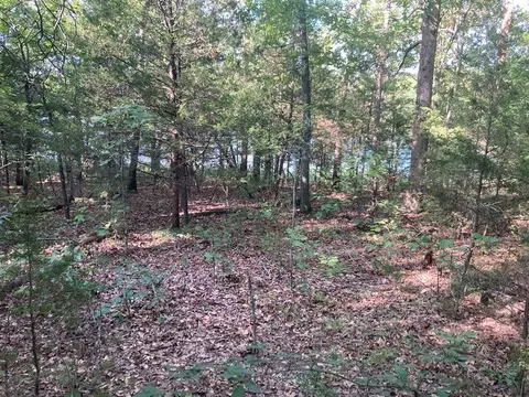 2214 Executive Loop, Horseshoe Bend, AR 72512 photo 2