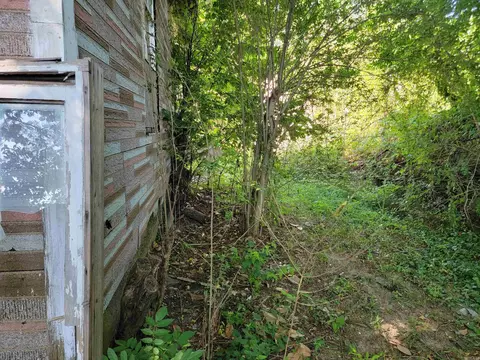 108 Taylor Ave, Hatfield, AR 71945 photo 10