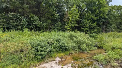 4525 56 Hwy, Evening Shade, AR 72532