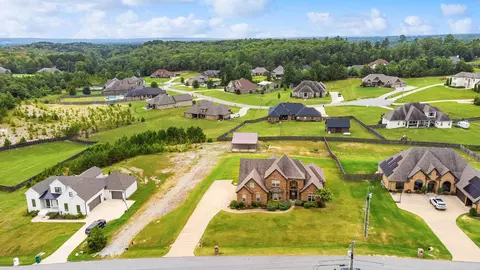 9097 Stone Canyon Dr, Alexander, AR 72002 photo 34