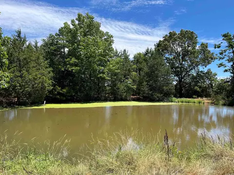 00 Gaylor Rd, Mountain View, AR 72560 photo 2