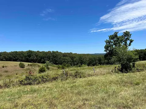 00 Gaylor Rd, Mountain View, AR 72560 photo 14
