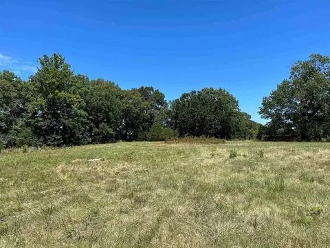 00 Gaylor Rd, Mountain View, AR 72560 photo 5