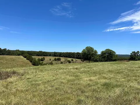 00 Gaylor Rd, Mountain View, AR 72560