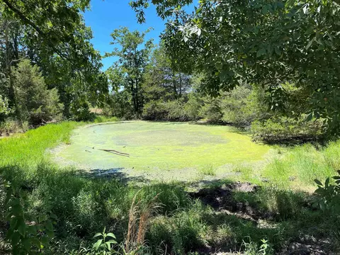 00 Gaylor Rd, Mountain View, AR 72560 photo 12