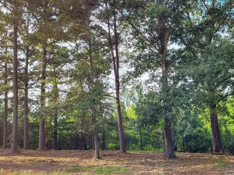 137 Leopard Dr, De Queen, AR 71832 photo 13