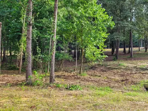 137 Leopard Dr, De Queen, AR 71832 photo 22