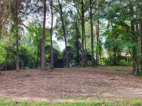 137 Leopard Dr, De Queen, AR 71832 photo 20