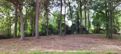 137 Leopard Dr, De Queen, AR 71832 photo 18