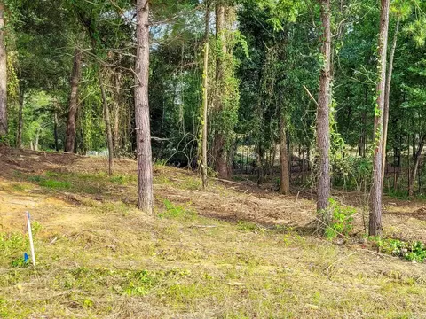 147 Leopard Dr, De Queen, AR 71832 photo 15
