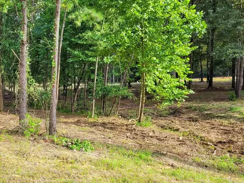 147 Leopard Dr, De Queen, AR 71832 photo 16