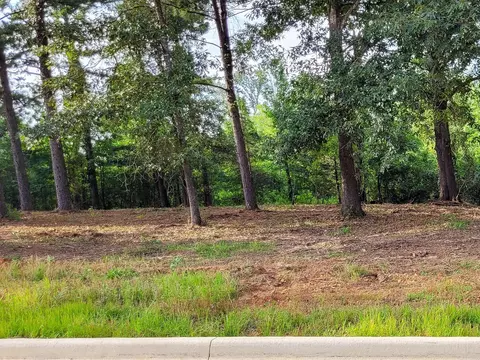 147 Leopard Dr, De Queen, AR 71832 photo 17