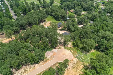 136 Leopard Dr, De Queen, AR 71832 photo 9