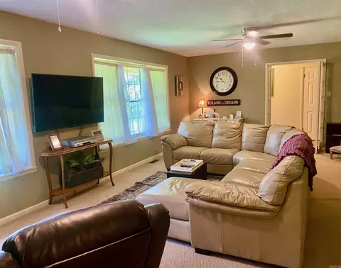 167 Circle Dr, Mount Ida, AR 71957 photo 6