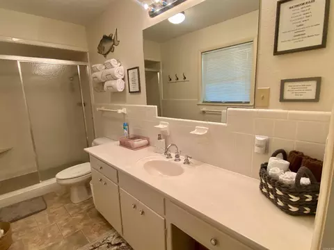 167 Circle Dr, Mount Ida, AR 71957 photo 39