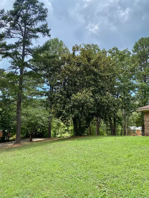 167 Circle Dr, Mount Ida, AR 71957 photo 44