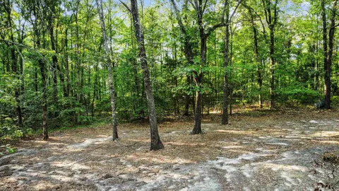 2000 Ausbrooks Trl, Mabelvale, AR 72103 photo 44