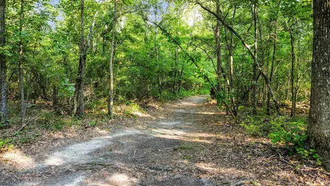 2000 Ausbrooks Trl, Mabelvale, AR 72103 photo 42