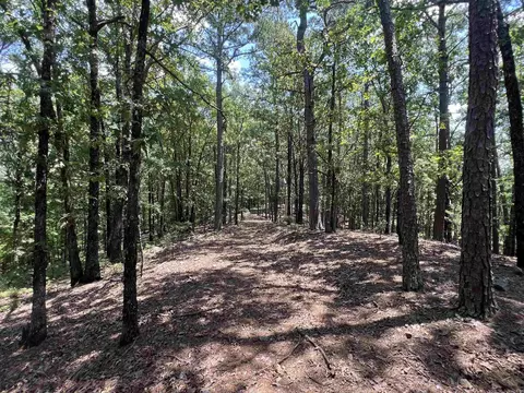 125 Lark Ln, Mena, AR 71953 photo 28